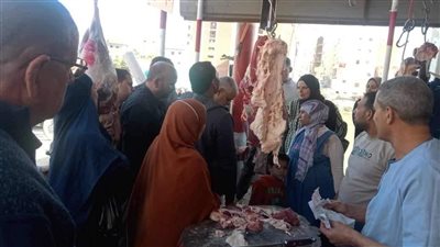 محافظ المنيا: ضبط 119 مخالفة متنوعة خلال حملات على المخابز البلدية والأسواق