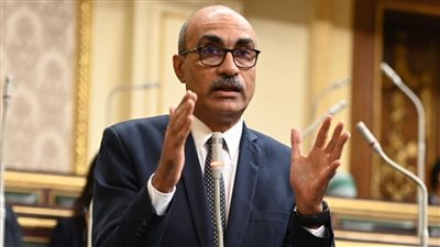 برلماني: يجب ضبط الصناديق والحسابات الخاصة بدلا من اللجوء لجيب المواطن