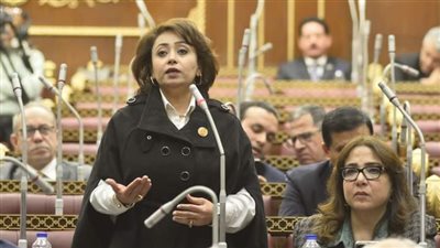 «برلمانية» تُطالب الحكومة بالكشف عن رؤيتها حول قطاع الرعاية الصحية و«أسعار الدواء»