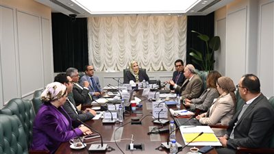 صندوق الاستثمار الخيري لدعم ذوي الإعاقة 