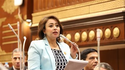 النائبة رشا إسحق تكشف «ألاعيب» إسرائيل لتوريط مصر أمام المحكمة الدولية بـ«الأكاذيب»