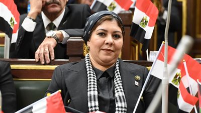 برلمانية: نرفض ادعاءات الإحتلال الإسرائيلي ضد مصر بمحكمة العدل الدولية 