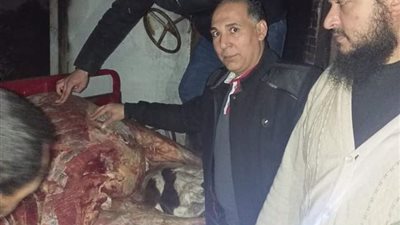 تمهيدًا لبيعها.. تفاصيل ضبط جزار ذبح بقرة نافقة بالبحيرة (صور)