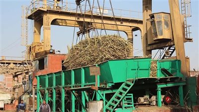 كيف يؤثر وقف إنتاج مصنع أبو قرقاص على 17 سلعة؟