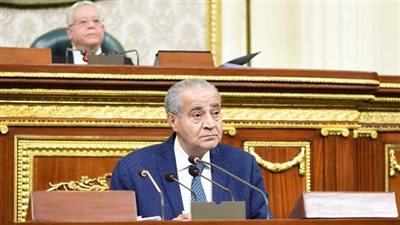 تفاصيل الهجوم البرلماني على وزير التموين