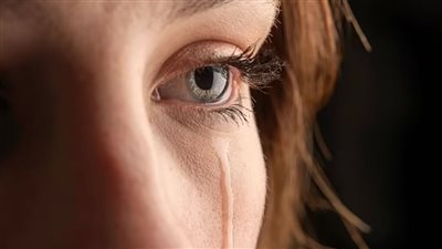 ما قصة دموع الشتاء؟ وهل تفيد البشر؟