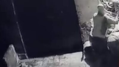 شاب يذبح كلبا ضالا بشوارع الجيزة والتحريات: المتهم مضطرب نفسيا