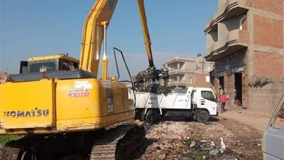 حملات موسعة وراء رفع 280 طن قمامة بمركز المحلة الكبرى