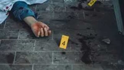 «قانون الغاب».. 15 بلطجي يمزقون جسد مدرس ويقطعون يد زوجته بشبرا الخيمة