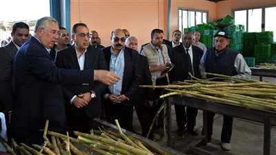 رئيس الوزراء يتفقد محطة شتلات قصب السكر بكوم أمبو