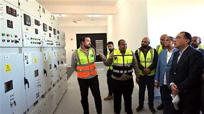 رئيس الوزراء يتفقد لوحة توزيع الكهرباء بقرية «فارس»
