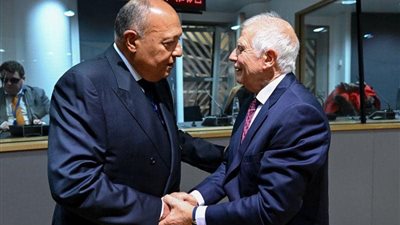 وزير الخارجية يستعرض في بروكسل أداء الاقتصاد المصري 