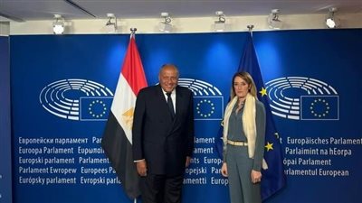 شكري يؤكد أهمية تعزيز الحوار البناء والموضوعي بين مصر والبرلمان الأوروبي