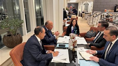 تفاصيل لقاء وزير الخارجية برئيس لجنة العلاقات الخارجية بالبرلمان الأوروبي