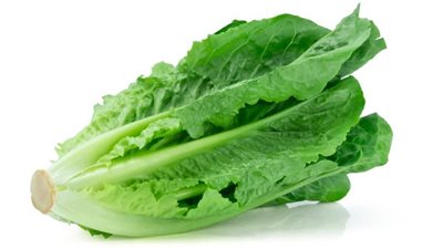 تنظيم مستوى السكر.. الفوائد الصحية للخس وقيمته الغذائية 