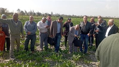 «الزراعة»: 185 خبيرا زراعيا يشاركون الفرق الإرشادية الريفية للمحاصيل الشتوية والإنتاج الحيواني