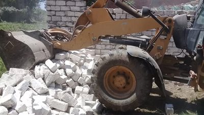  إزالة 1036تعديا على الأراضي الزراعية و475 مخالفة بناء بالغربية 