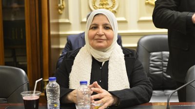 تحرك برلماني بشأن ارتفاع أسعار تقاوي البطاطس