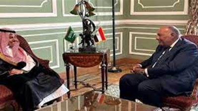 وزير الخارجية: إثيوبيا تراجعت عن اتفاقها مع مصر في قضية سد النهضة