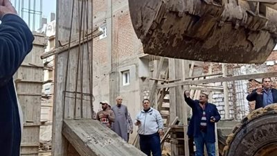 إزالة 11 حالة تعد على أرض زراعية بمراكز البحيرة (صور)