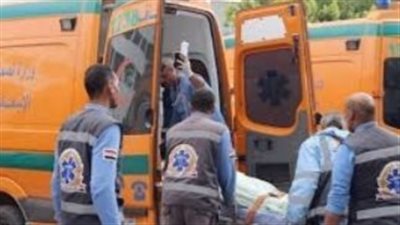 تفاصيل إصابة 8 أشخاص في حادث تصادم بالبحيرة