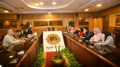 تفاصيل اجتماع محافظ الغربية بأعضاء لجان المشروع القومي لتنمية الأسرة المصرية