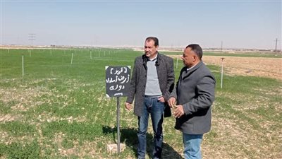 إزالة 101 حالة تعد على الأرض الزراعية وأملاك الدولة بالمنيا