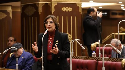 برلمانية تشيد بقرارات الرئيس السيسي لدعم محدودي الدخل