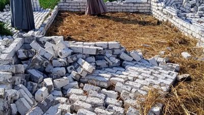 جابوها الأرض.. تنفيذ 66 قرار إزالة للتعديات على الأراضي الزراعية بالبحيرة (صور) 