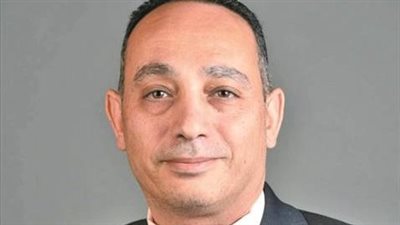 برلماني يقترح إضافة التمريض المنزلي للمسنين والمجلس يقرر إضافتها للائحة التنفيذية