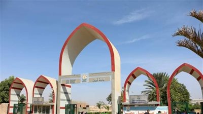 جامعة أسوان: بدء خطوات فعلية لتوفيق أوضاع العمالة المؤقتة