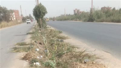 زراعة 205 أشجار مثمرة في مركزين بالمنيا ضمن «100 مليون شجرة»