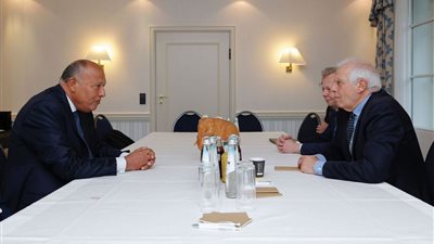 شكري وبوريل يؤكدان حرصهما على وضع حلول للوضع المتأزم في غزة