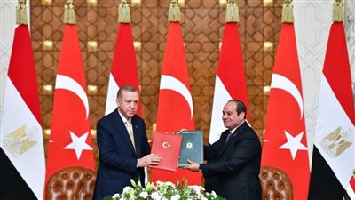 خبير اقتصادي: القمة المصرية التركية صفحة جديدة في العلاقات