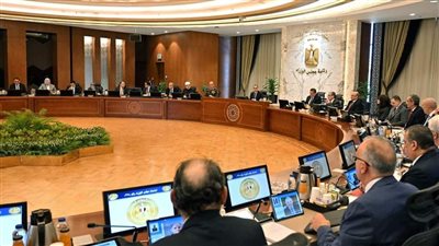 رئيس وزراء مصر: تسلمنا 5 مليارات دولار من صفقة «رأس الحكمة»