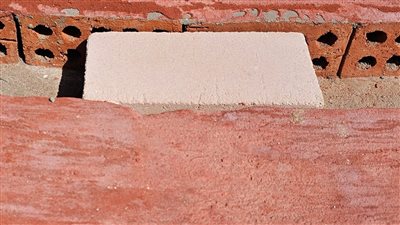 باكورة المبادرة الرئاسية «تحالف وتنمية».. تفاصيل البدء في مشروع أرض الجامعات بالوادي الجديد