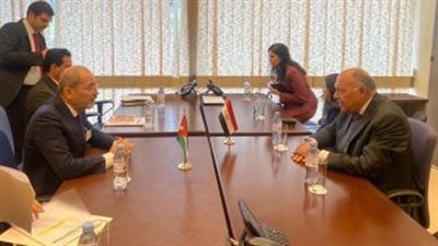 وزير الخارجية يبحث مع نظيره الأردني التطورات في قطاع غزة