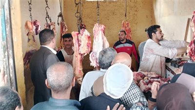 تموين المنيا يضبط ٧٣ مخالفة خلال حملات على المخابز البلدية والأسواق