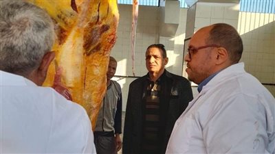 إعدام رأس ماشية تزن 400 كيلو مصابة بمرض السل فى ملوى بالمنيا