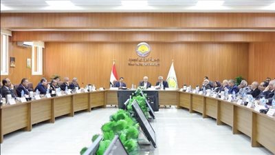 تفاصيل وموعد تلقي الطعون على القوائم المبدئية لرئاسة 5 جامعات