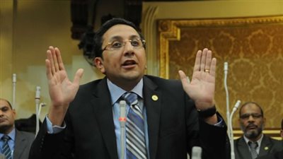 عضو بمجلس النواب: أطالب المجتمع الدولي بدعم الجهود المصرية لوقف جرائم الحرب بفلسطين