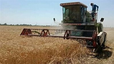 أسرار نسف 38 مليون جنيه من ميزانية قطاع الإنتاج بوزارة الزراعة