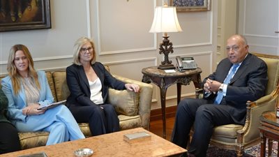 وزير الخارجية يؤكد على ضرورة وقف إطلاق النار في غزة قبل شهر رمضان