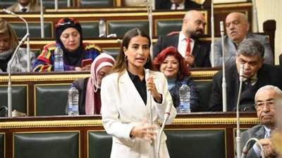 عضو بـ«خارجية النواب»: الإفراج الجمركي عن البضائع والسلع الأساسية أهم نتائج مشروع رأس الحكمة 