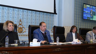 خطاب أمام مجلس الشيوخ: مشاركة الشباب بإعادة صياغة مناهج حقوق الإنسان خطوة هامة