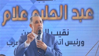 «مجلس المحامين»: لم تصدر أحكام متعلقة بالانتخابات من محكمة القضاء الإداري حتى الآن