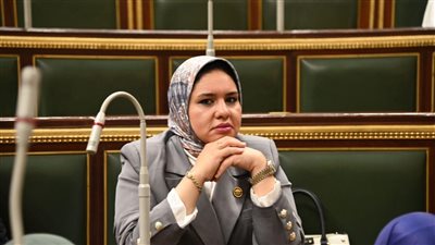 «برلمانية»: قرار إسناد المطارات إلى القطاع الخاص يحتاج إلى التوضيح وعرض أسبابه من قِبل الحكومة