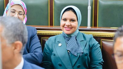 تحرك «برلماني» بشأن خطة الدولة لاستغلال المبالغ العائدة من استثمارات مشروع «رأس الحكمة»