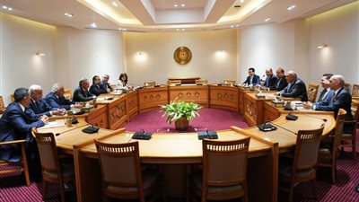 وزير الخارجية يشدد على ضرورة تكثيف الجهود لوقف إطلاق النار على غزة