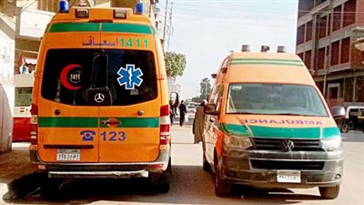 مصرع عامل وإصابة حفيده في حادث على طريق طما الوسطاني بسوهاج